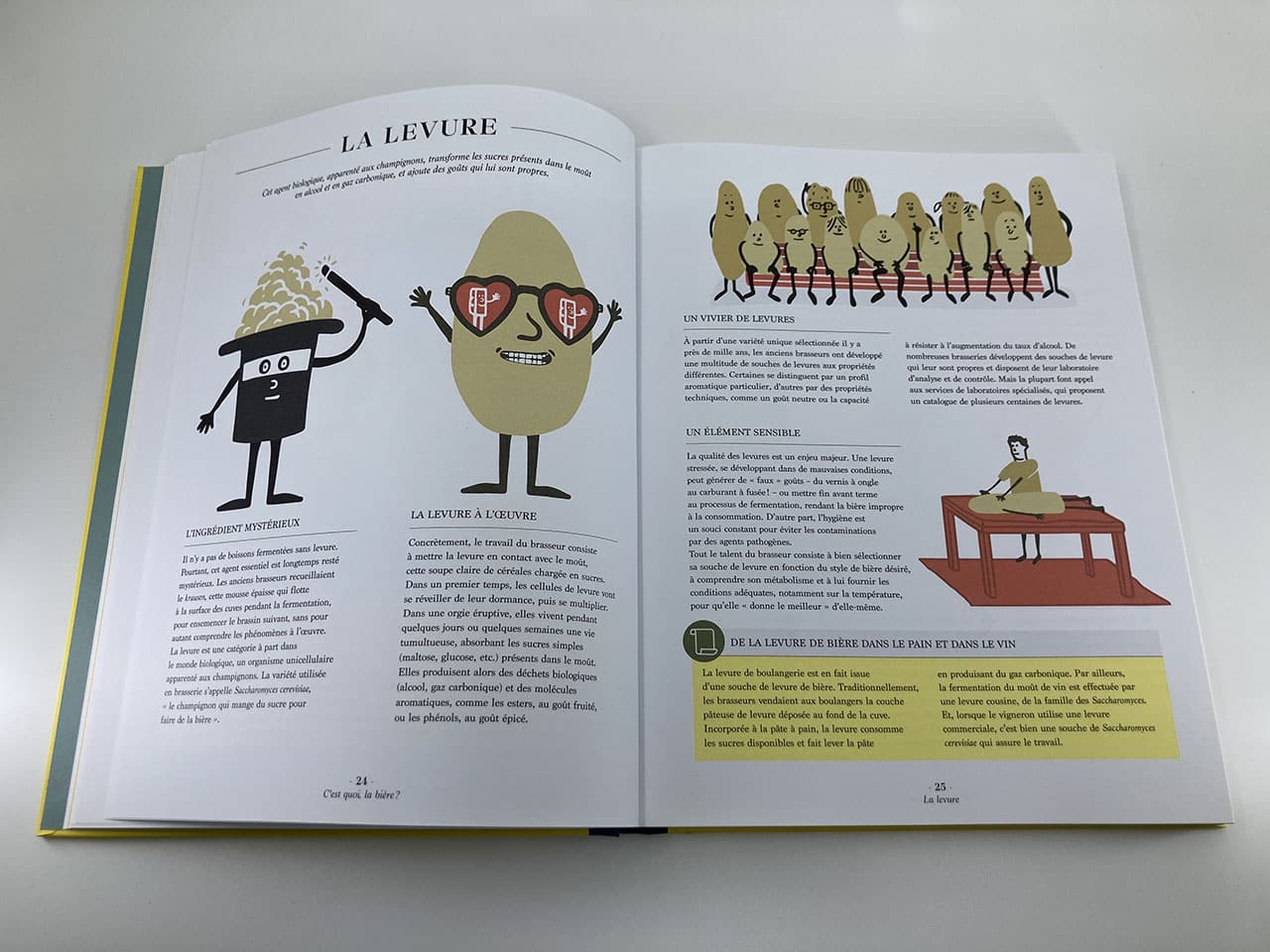 La bière c’est pas sorcier - Éditions Marabout – 2017