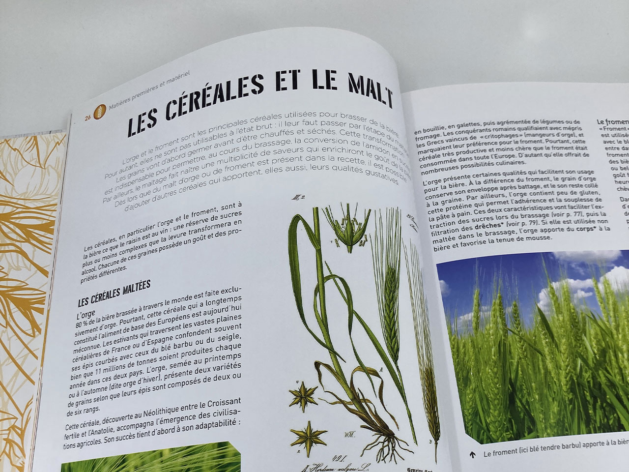 L’art de faire sa bière - Éditions Parramon – 2017
